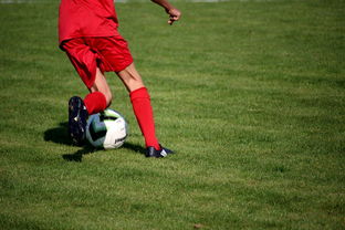 华体会官网体育-青训球员选拔机制存在结构性偏见，青训选拔喜欢那种球员